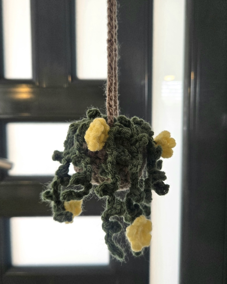 Hanging Plant
